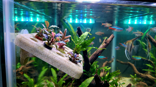 O PLA é seguro para aquários? Impressão de fragmentos e peles de coral