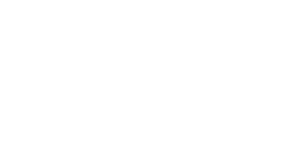 Qidi 3D Printer